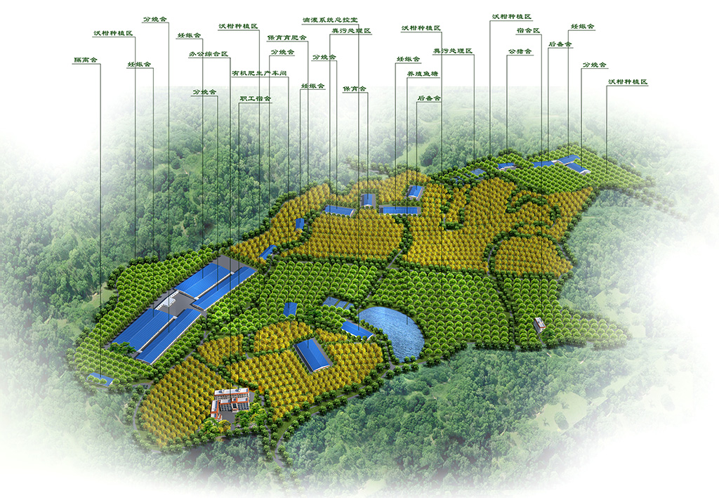 马山种养基地鸟瞰图