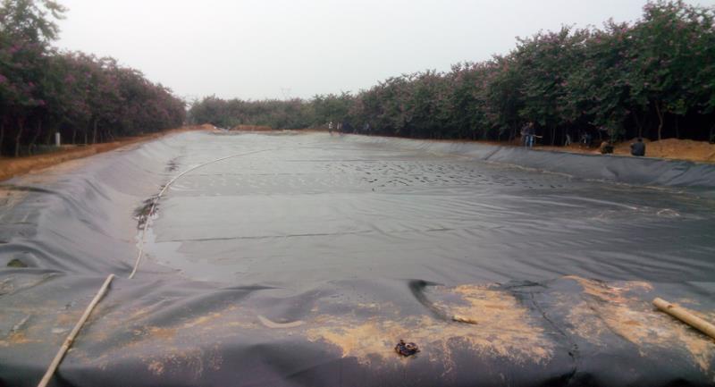 黑膜沼气池